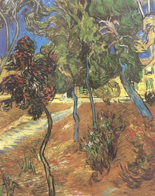 Vincent Van Gogh Trees in the Garden of Saint-Paul Hospital (nn04) oil painting image